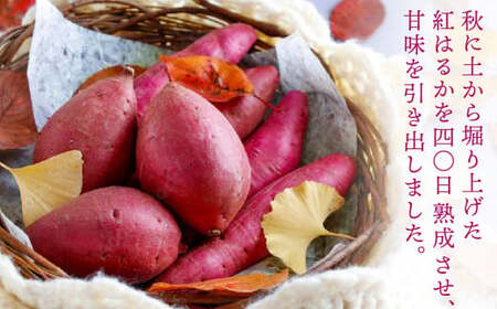 【1月発送】【みっちゃんの干し芋】茨城県産 干し芋 紅はるか 240g x 3袋 （720g）