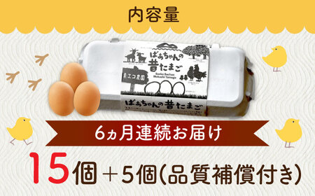 【全6回定期便】ばあちゃんの昔たまご 計120個（15個+5個×6回（品質補償付き）） / 佐賀県 / 素ヱコ農園 [41AEAA005]
