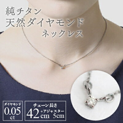 【ふるさと納税】純チタン天然ダイヤモンド0.05ctネックレス 変色しにくい ギフト かわいい 新潟県 弥彦村_＜定番のダイアモンド一粒ネックレス＞ジュエリー ダイアモンド アクセサリー プレゼント 贈り物 贈答品 お祝い 記念日 誕生日【配送不可地域：沖縄県】【1288848】