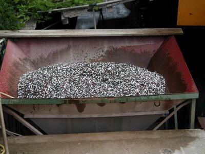 スペシャル五色5分（13～20ｍｍ） 20kg袋 兵庫県 洲本市 淡路島