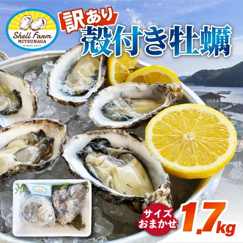 冷蔵牡蠣殻付き1.7kg 牡蠣[サイズおまかせ]