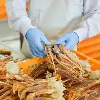 ボイル ずわいがに 爪 1kg (500g × 2)  かに _AF018