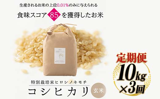 ≪先行予約≫【3回定期】特別栽培米 コシヒカリ ヒロシノキモチ 玄米 10kg 総計30kg 陽咲玲 米 お米 コメ ご飯 ごはん 富山県産 富山県 立山町 F6T-828