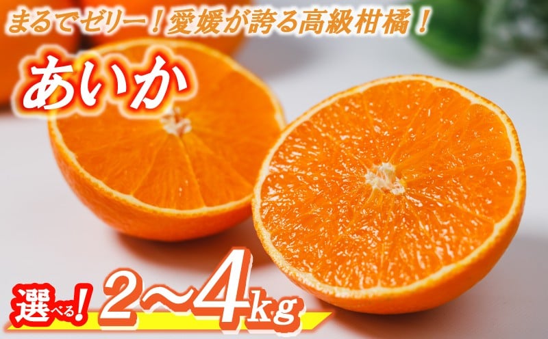 
            【数量限定】 高級 みかん あいか 2kg / 3kg / 4kg ＜11月中旬〜発送＞ 愛果28号 愛媛果試第28号 紅まどんな と同品種 まどんな 柑橘 柑橘類 産地直送 フルーツ 果物 くだもの 人気 おすすめ 愛媛県 松山市
          
