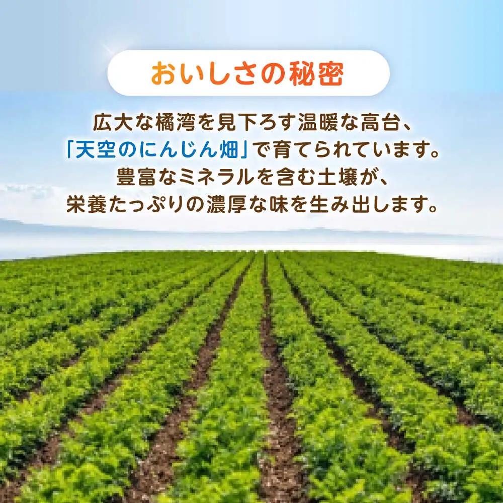※【2026年11月下旬より順次発送／先行予約】【訳あり】滝さんのにんじん 10kg AHCU005 にんじん