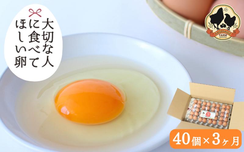 【3カ月定期便】大切な人に食べてほしい卵　40個×3回【冷蔵配送】 / 田辺市 卵 たまご 鶏卵 平飼い お取り寄せ 卵かけごはん 和歌山県【kag009-tk】
