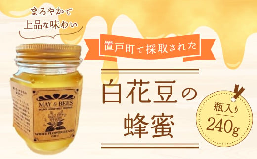 蜂蜜（置戸町採取 白花豆）240g×1 【 ふるさと納税 人気 おすすめ ランキング はちみつ ハチミツ 蜂蜜 北海道 置戸町 送料無料 】 OTD001