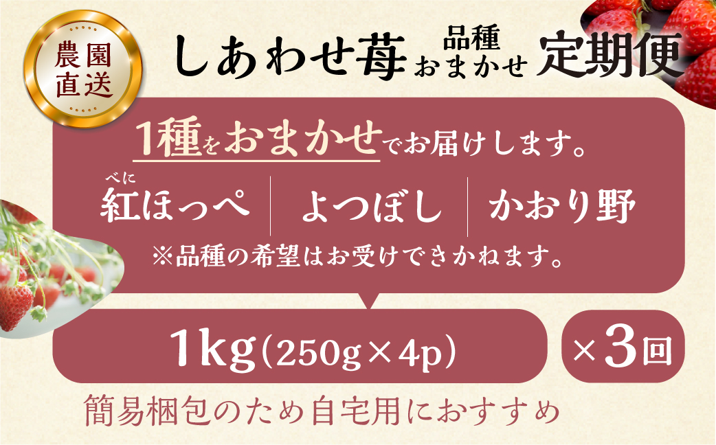 【定期便3回】【2027年1月以降発送開始】  しあわせ苺  品種おまかせ 1kg (250g × 4p ）3か月 3回 自宅用｜フルーツ 果物 スイーツ 苺 いちご イチゴ しあわせ苺 サイズ バラ