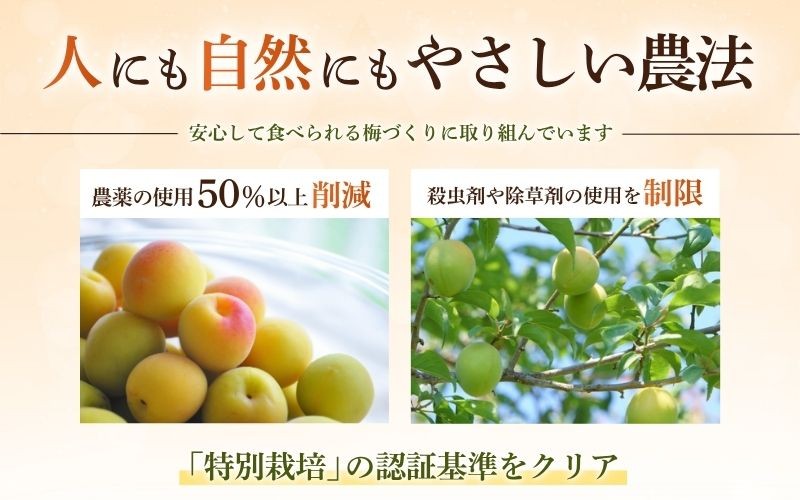 無添加 塩だけ 昔ながらの梅干し 南高梅 紀州梅香 完熟 白干し梅 訳あり つぶれ梅1kg（500gパック×2個）塩分20% 【baiko010】