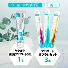 【ふるさと納税】 歯磨き セット ヤクルト 薬用歯磨きセット 日用品 歯磨き粉 アパコート 歯ブラシ セット 詰め合わせ はみがき 衛生 予防 口臭予防 デンタルケア ホワイトニング ギフト プレゼント 必需品 父の日 母の日 湘南ヤクルト販売株式会社 神奈川 湘南 藤沢