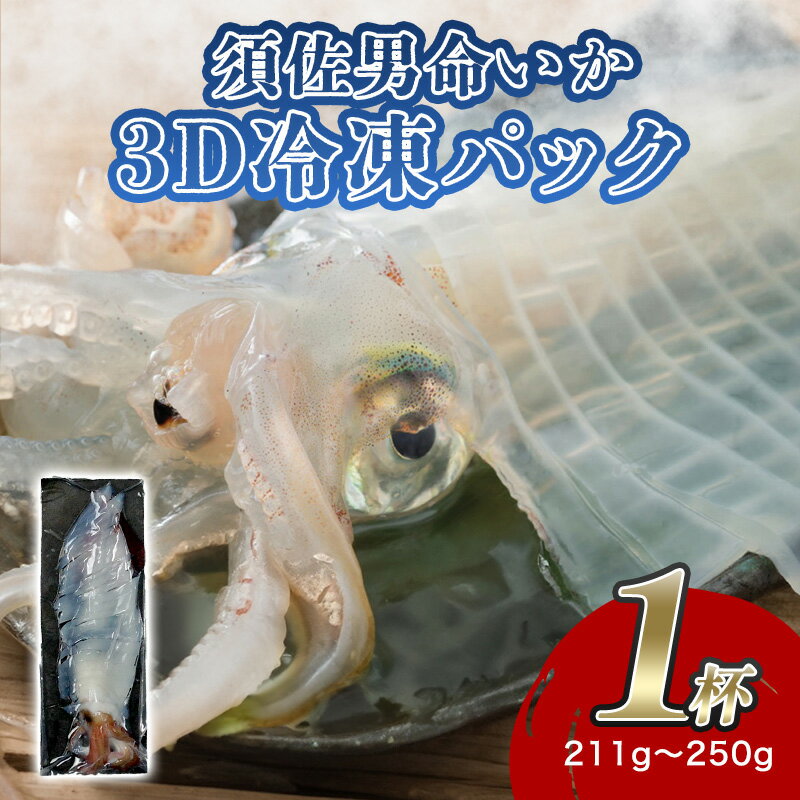 【ふるさと納税】自宅で透明感を再現！須佐男命いかの姿造り（刺身）特殊冷却「3D冷凍」パック 1個 国産 日本産 食品 グルメ 料理 冷凍 冷凍食品 おかず 惣菜 お弁当 非常食 保存食 ご飯のお供 ごはん ご飯 食卓 山口県 萩市 美味しい おいしい プレゼント ギフト