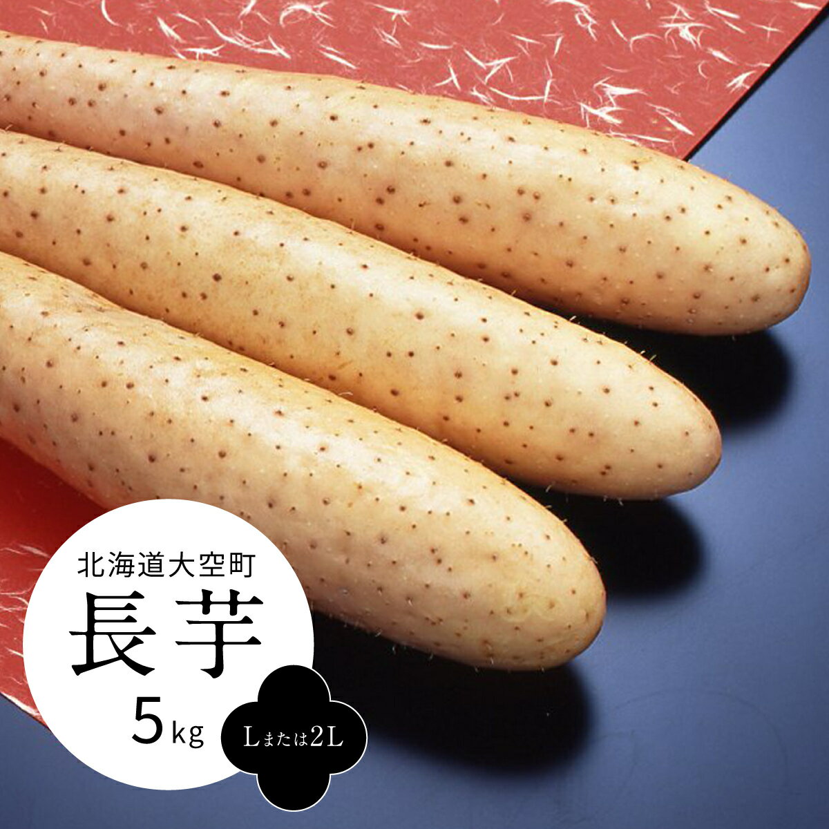 【ふるさと納税】長芋5kg（Lまたは2L） 【 ふるさと納税 人気 おすすめ ランキング ながいも 長芋 ながいも いも 芋 北海道 大空町 送料無料 】 OSM007