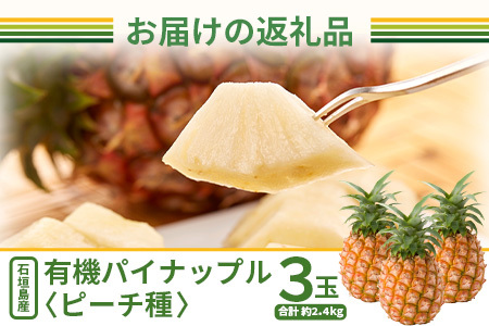 【予約受付】石垣島産　有機パイナップル・ピーチ種 3玉（約2.4kg前後）〈常温〉《６月上旬～順次発送予定》｜パイナップル パインアップル 石垣島パイン フルーツ 果物 くだもの 南国フルーツ 国産パ