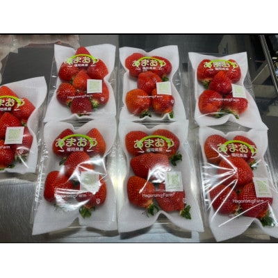 ふくおかエコ農産物認証いちご 福岡県産あまおう苺 約250g×2P(1月中旬から2月下旬発送)宇美町【配送不可地域：離島・北海道・沖縄県】