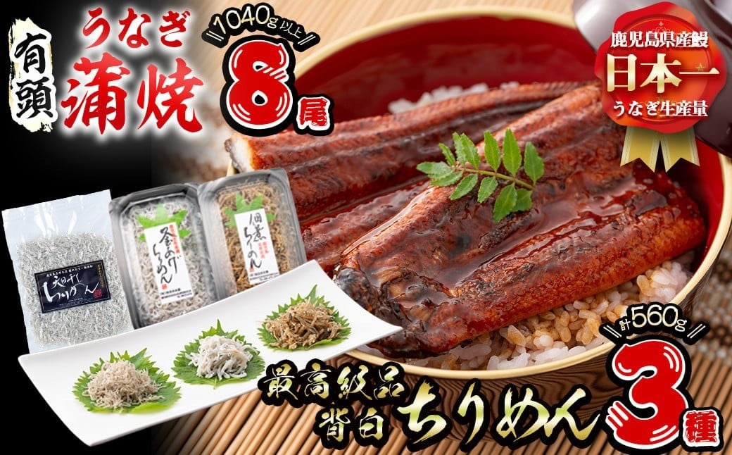 
            極うなぎ蒲焼130g以上×8尾(計1040g以上)+佃煮ちりめん130g+釜揚げちりめん110g×3個+ちりめん100g うなぎ 鰻 ウナギ 蒲焼 8尾 真空パック 鰻重 うな丼 ちりめん しらす ちりめんじゃこ e7-017
          