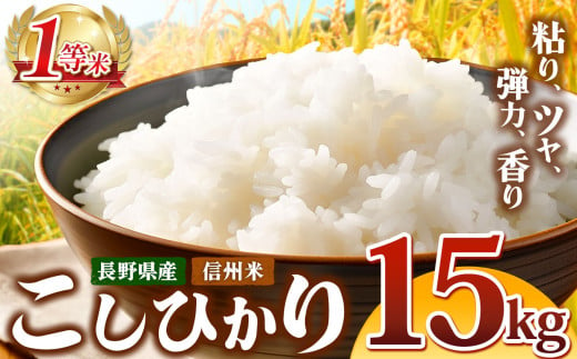 信州米 こしひかり 白米 15kg 長野県産 | 米 コシヒカリ 白米 精米 お米 信州米 15kg 特産品 塩尻市 長野県 信州