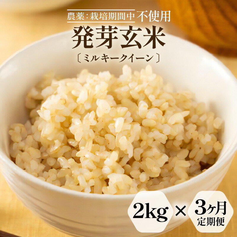 【ふるさと納税】【期間限定】【3ヶ月連続お届け】【令和7年産】発芽玄米 特別栽培米 ミルキークイーン 2kg × 3回（計6kg）甘みがありモチモチやわらか 農薬・化学肥料不使用【無洗米 玄米 ギャバ GABA 特別栽培 食物繊維 栄養 真空パック ごはん ご飯 おいしい】