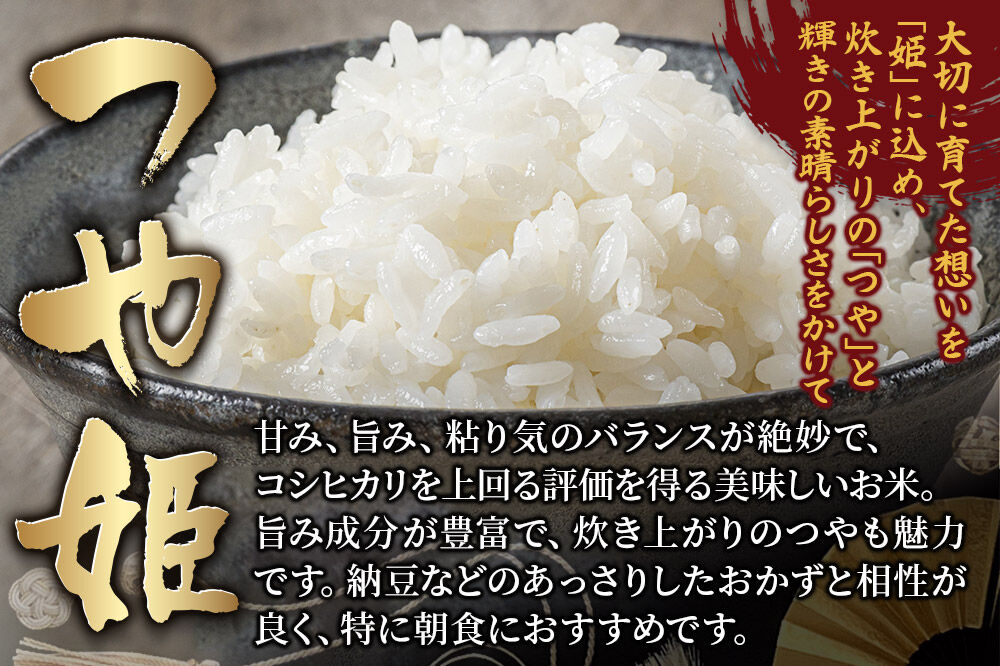 【令和7年産・白米】宮城県産 つや姫 10kg (5kg×2袋) [大場商店 お米 精米 ブランド米]