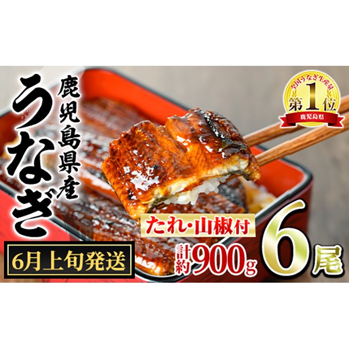 【0304349a-2606】＜6月上旬発送予定＞東串良町のうなぎ蒲焼(無頭)(6尾・計約900g・タレ、山椒付) うなぎ 高級 ウナギ 鰻 国産 蒲焼 蒲焼き たれ 鹿児島 ふるさと 人気 【アクアおおすみ】