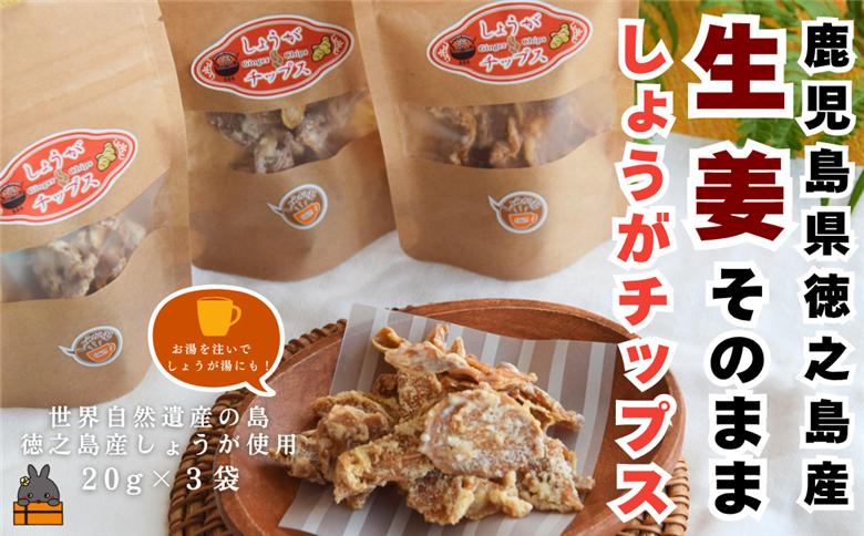 徳之島産生姜そのまま しょうがチップス（20g×3袋） （ しょうが 生姜 ショウガ 黒糖 黒砂糖 シークニン しょうが湯 生姜湯 国産 徳之島 奄美 鹿児島 キッチンこころ ）