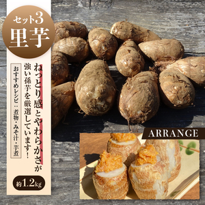 山梨県上野原市産 厳選３種の芋（里芋・京芋・海老芋）セット 各約1.2kg×3種