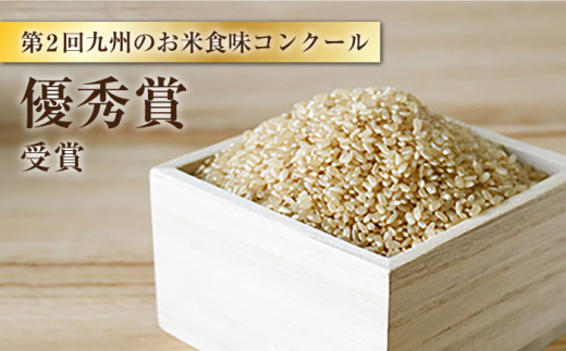 【 令和6年産 新米 】【3回定期便】【木村式自然栽培】 玄米 くまみのり 約20kg ＜ハマソウファーム＞ [CBR023]