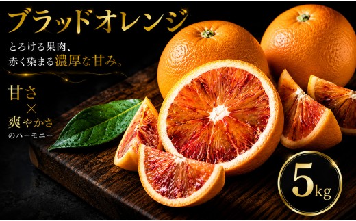 【いま注目されています】 ワインのような深み 【ブラッドオレンジ】 5kg 愛媛県産 【2027年2月下旬頃から順次発送】 | みかん ミカン mikan 蜜柑 訳ありフルーツ 柑橘 果物 おすすめ お勧め お取り寄せ ギフト 愛媛県 松山市
