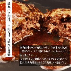 新発田牛ハンバーグ 5個 惣菜 惣菜 惣菜 惣菜 惣菜 惣菜 H21_02