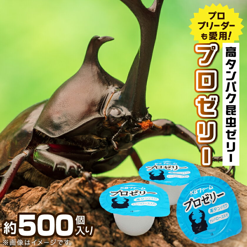 【ふるさと納税】プロゼリー　約500個入り　【1201217】