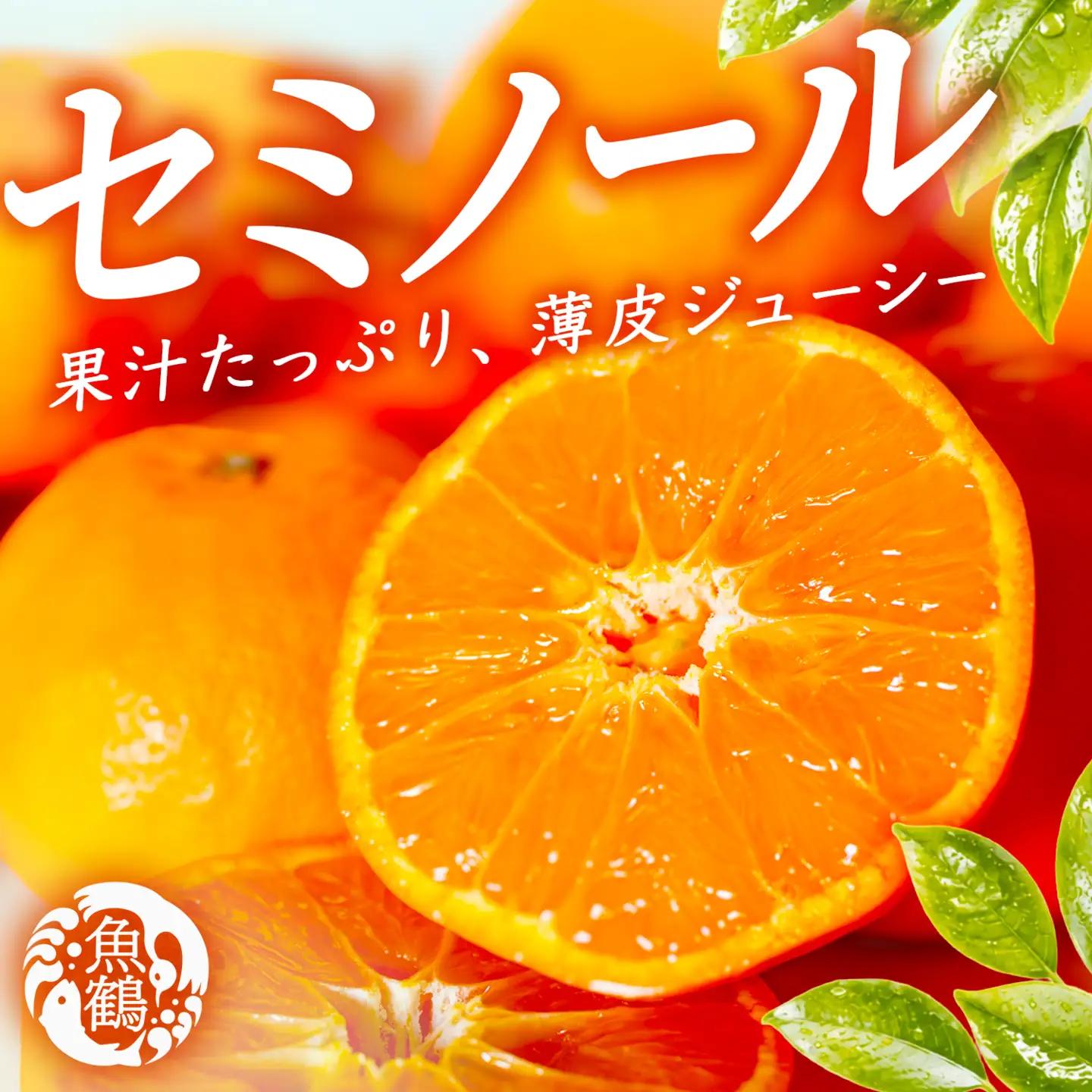 【先行予約】 セミノールオレンジ 約5kg ジューシー柑橘 和歌山県産