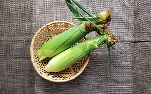 極上の甘さ！ とうもろこし 「おおもの」 10～13本（約5kg）  とうきび トウキビ トウモロコシ コーン 野菜 食品 F20C-933