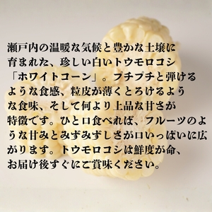 ホワイトコーン 約2.5kg