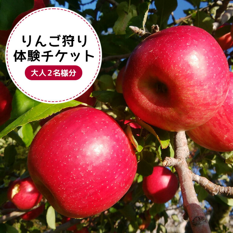 【ふるさと納税】りんご狩り体験チケット（大人2名様分） りんご りんご狩り フルーツ 果物 フルーツ狩り チケット 体験 リンゴ ジュース 健康 美容 ギフト 贈り物 茨城県産 人気 プレゼント 楽しい 親子 季節 農園 りんご農園 果物狩り 味覚狩り 9−R