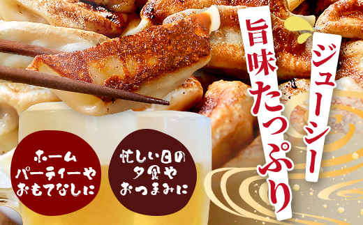 【餃子】 くまもとあか牛 100％ 餃子 計60個（20個×3パック） 冷凍 熊本県産 あか牛 ぎょうざ 惣菜 おかず 和牛 牛肉 お手軽 簡単 073-0403