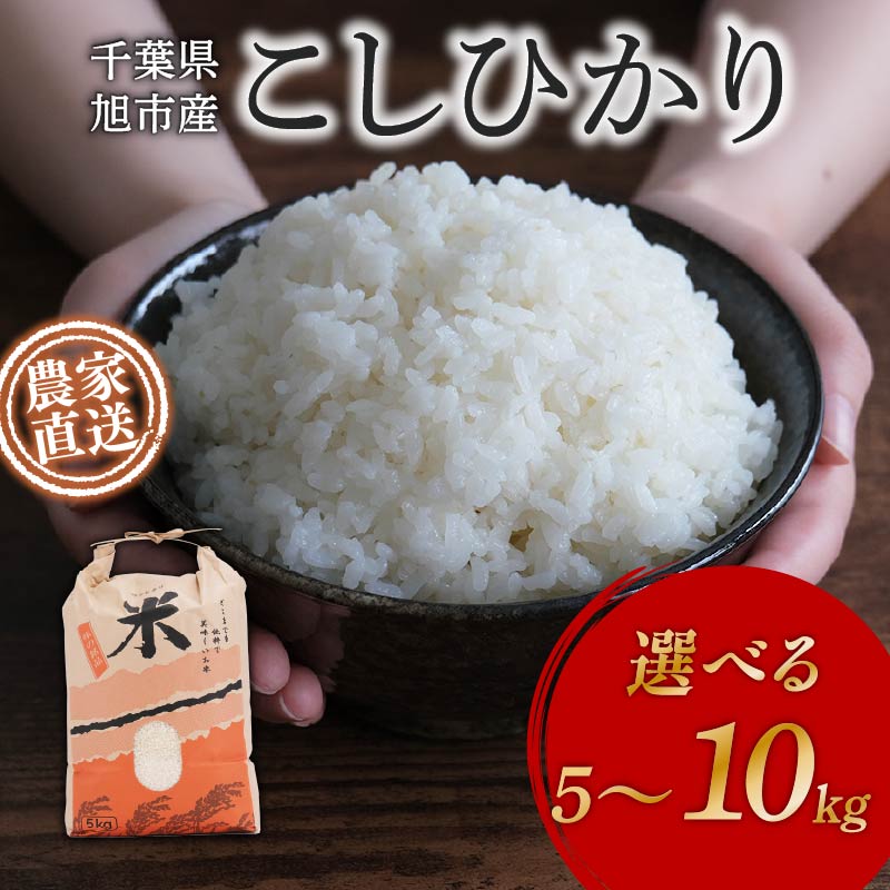 【ふるさと納税】 【 先行予約 】 コシヒカリ 選べる 5〜10kg 令和7年度 新米 米 農家直送 こめ ごはん 白米 お米 精米 ギフト おにぎりこしひかり 国産 贈物 食品 備蓄 防災 ふるさと納税米 送料無料 千葉県 旭市 まる吉園