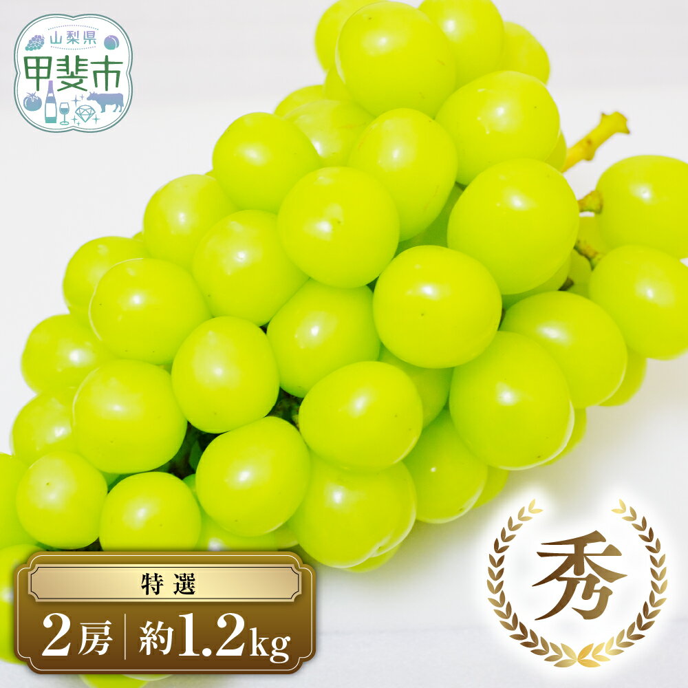 【ふるさと納税】 【2025年発送】 特選 シャインマスカット 2房 約1.2kg AN-129