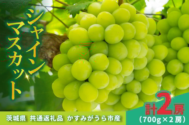 
            シャインマスカット700g×2房 (BR180)
          