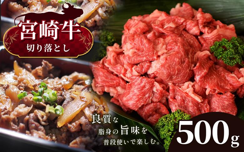 宮崎牛 切り落とし 500g