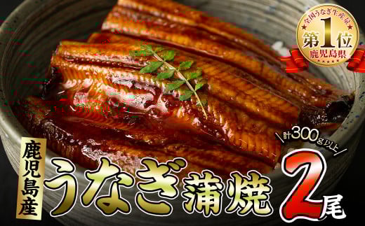 くすだ屋の極上うなぎ 2尾(150g×2)＜計300g以上＞ a5-266