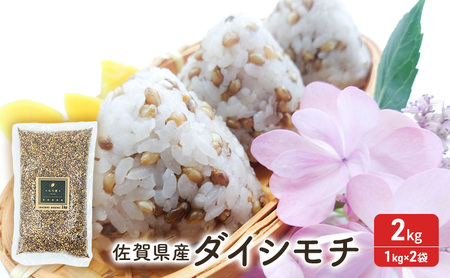 もち麦 ダイシモチ 佐賀県産 もち麦【2kg(1kg×2袋)】