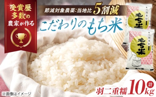 【特別栽培米】 もち米 羽二重糯（はぶたえもち）5kg×2 滋賀県長浜市/株式会社ＴＰＦ [AQCQ011] お米 もち 米 モチ 10キロ 国産 餅 こめ コメ 滋賀県産 滋賀 産直 産地直送 農家