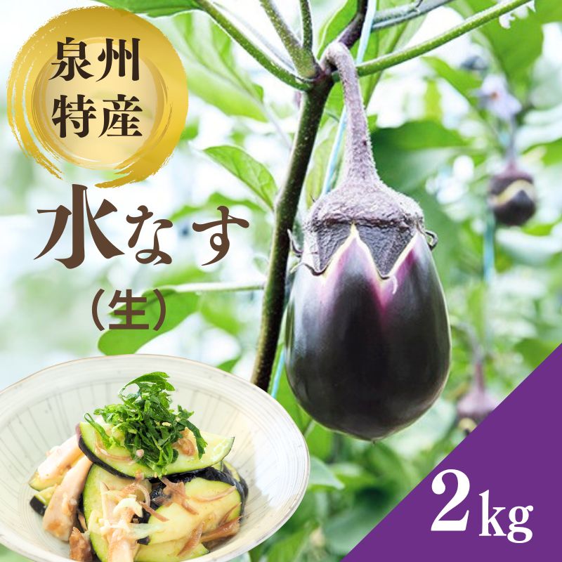 【ふるさと納税】泉州特産 水なす(生) 200g×10個 ナス 茄子 なす 泉州産 水なす 岸和田 岸和田市 岸和田産　お届け：2026年3月上旬～2026年9月下旬