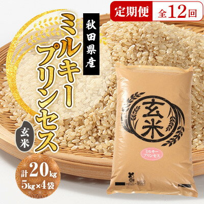 【ふるさと納税】【毎月定期便】ミルキープリンセス 玄米 20kg(5kg×4袋)全12回【配送不可地域：離島・沖縄県】【4080882】