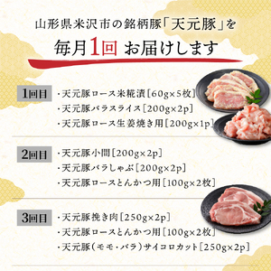 【定期便】 8ヶ月定期便 天元豚 セット 全8回 豚肉 ロース バラ 小間 モモ 挽き肉