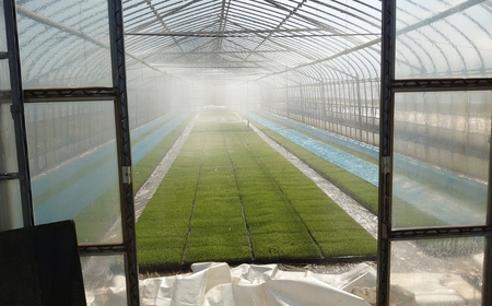 すのこタン。米 2kg 新潟県三条市産 コシヒカリ 非BLコシヒカリ 令和7年産 数量限定