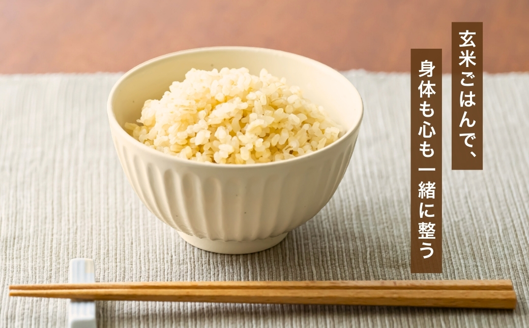 【玄米 選別品】令和7年産 魚沼産コシヒカリ 玄米 定期便5kg×3回 （隔月お届け）米太【0020-KT08DB00-02】