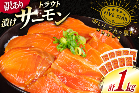 訳あり サーモン トラウト 漬け 総重量 1kg 100g×10p [カネダイ 宮城県 気仙沼市 20565453] 魚 魚介類 刺身 小分け 冷凍 鮭 さけ 海鮮 生食用 真空パック さけ サケ 食品 生食 サーモン 漬け丼 手巻き寿司 丼 海鮮丼 個包装