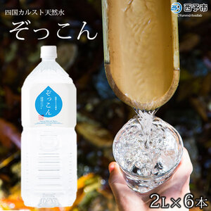 四国カルスト天然水ぞっこん 2L×6本 NZS0001