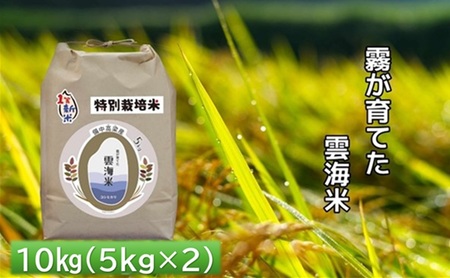 雲海米 特別栽培米 コシヒカリ 岡山県産 雲海米【10kg(5kg×2)】
