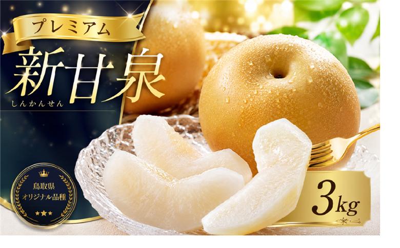 【数量限定】プレミアム新甘泉 3kg 4玉～10玉前後 高間商店 8月中旬から順次発送 【もぎたて 旬 フルーツ 果物 オリジナルブランド 新品種 赤梨 梨 シャキシャキ 新甘泉】